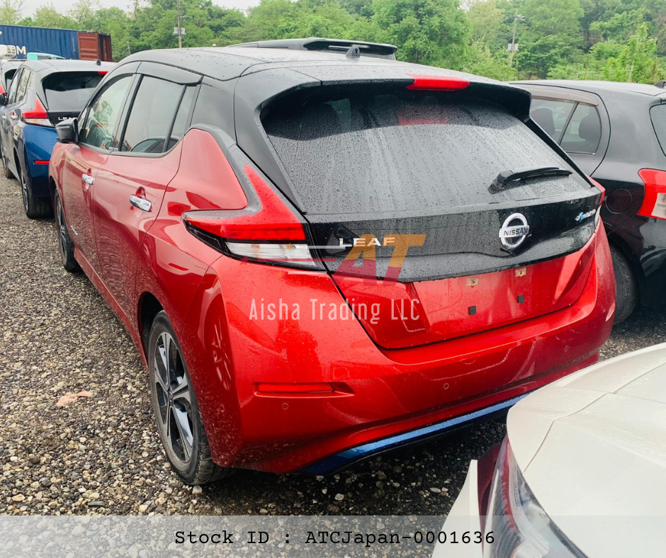 2019 Nissan leaf